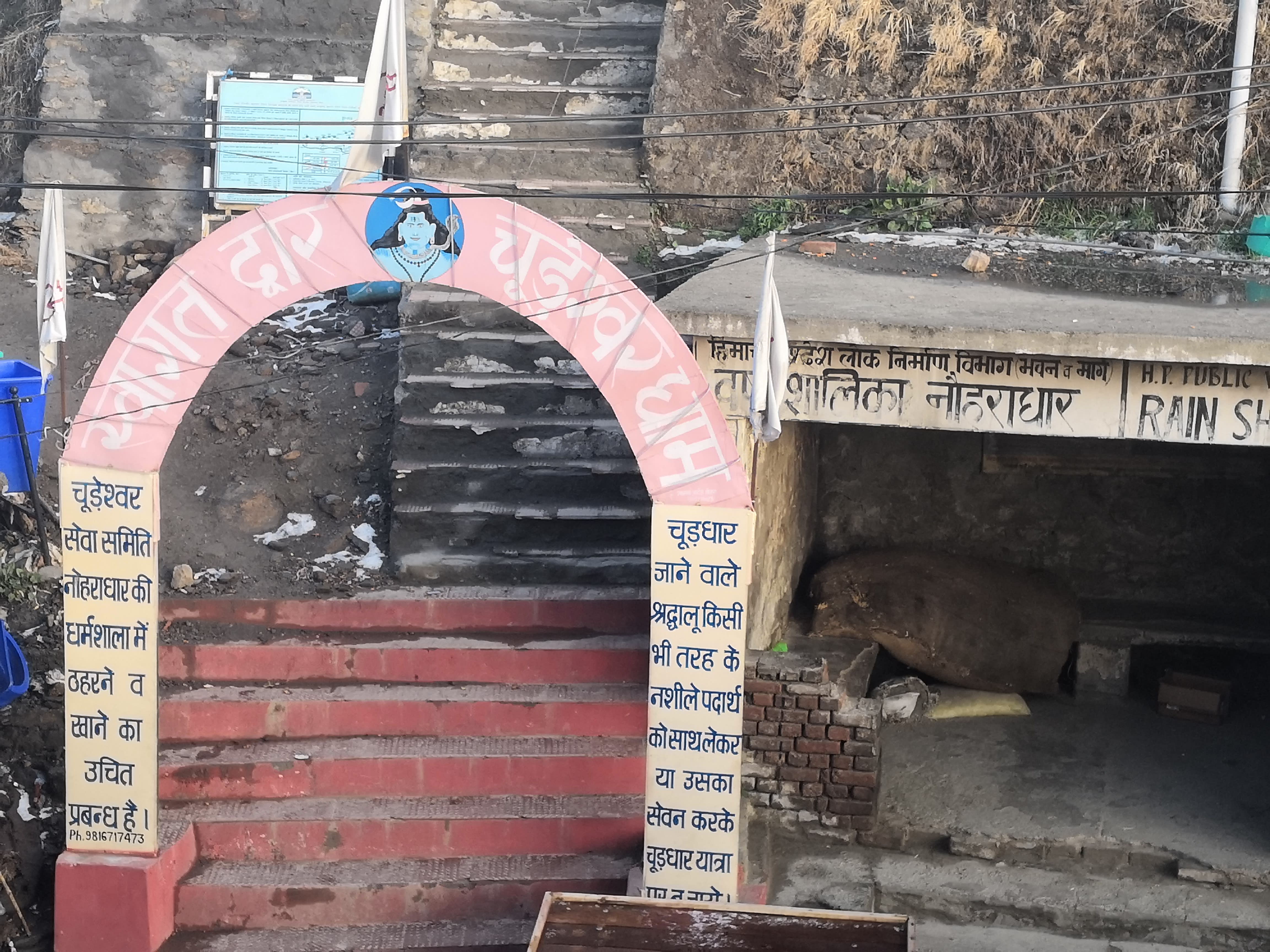 Churdhar trek starting point